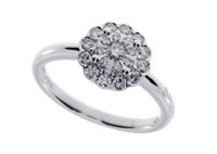 Anello Salvini Donna Daphne in Oro bianco Diamante 20089393 - 20089393